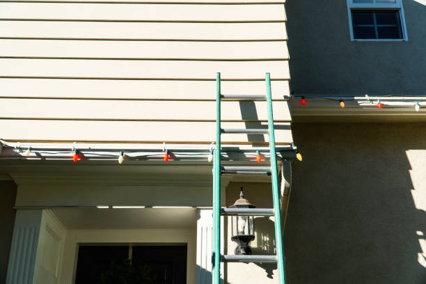 Best Demolition Debris Removal  in Versailles, IN